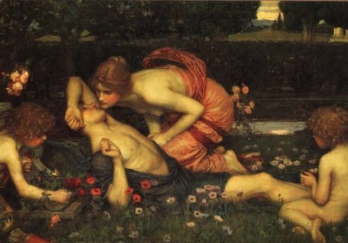 Adonis, Venus