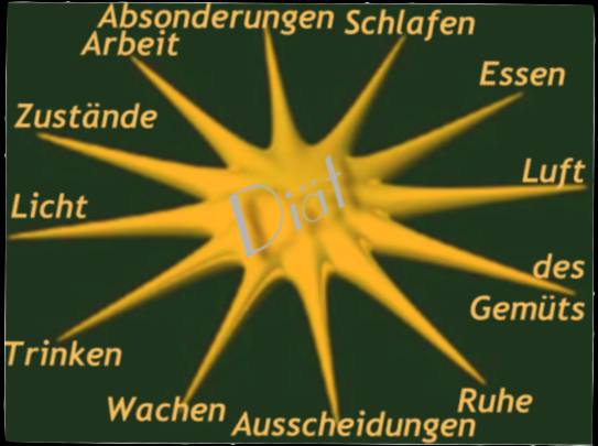 Faktoren der Diät