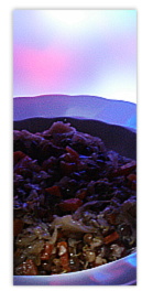 Linsen-Biersuppe