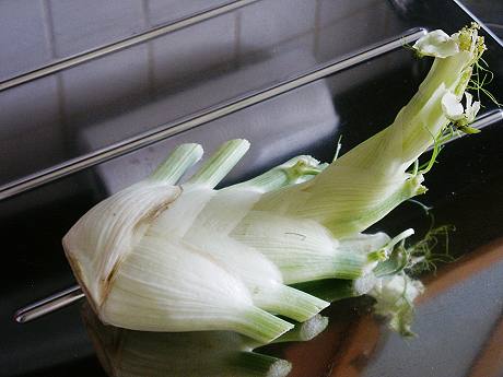 Fenchel - das Gemüse 