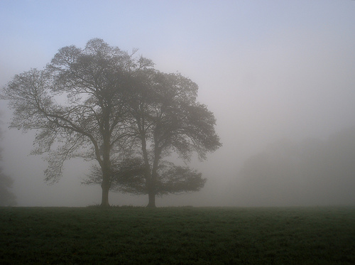 Herbstnebel, Herbststimmung