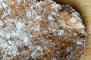 Fladenbrot 