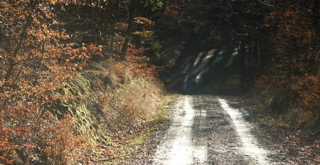 Nordic-Walking-Strecke Idstein